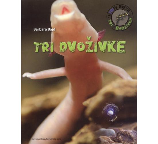 dvozivke