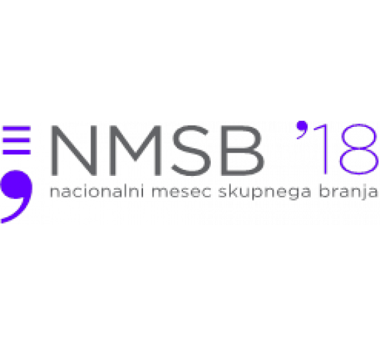 logo NMSB2