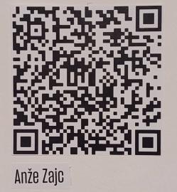 AnzeZajcVP